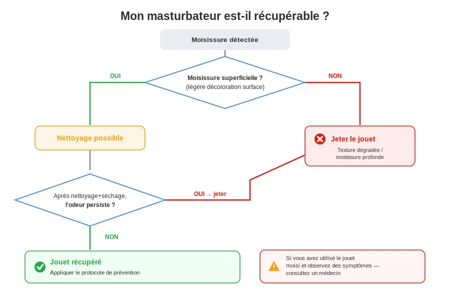 Evaluer masturbateur tpe moisissure recuperable