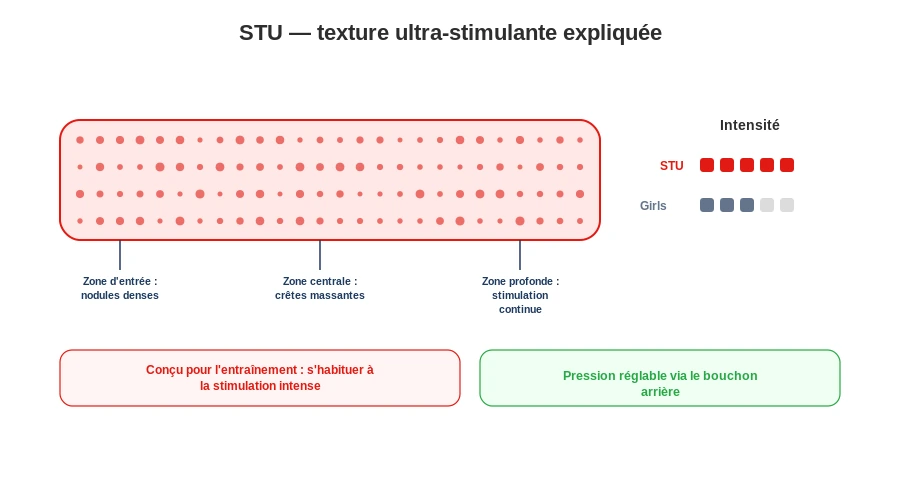 Fleshlight stu texture bumps interieur infographie