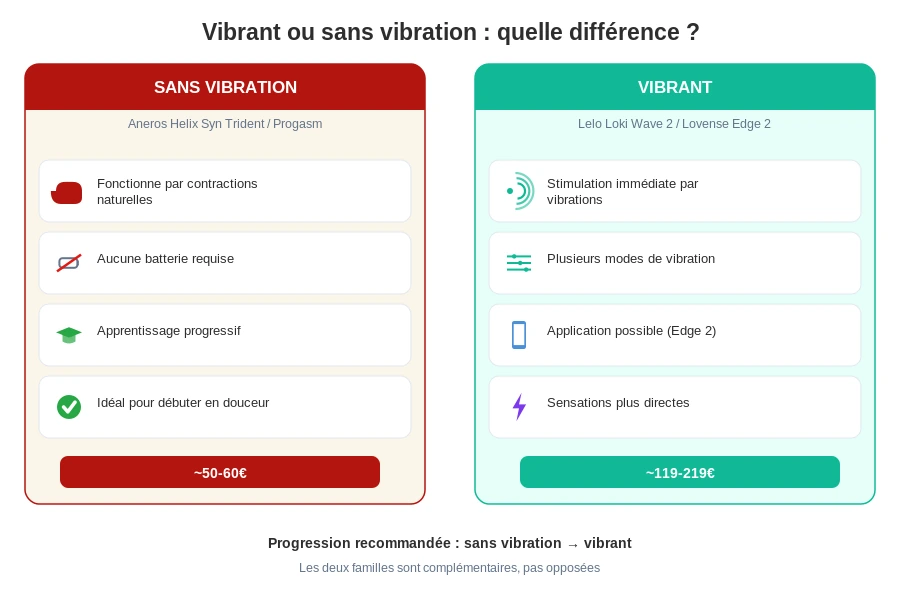 Massageur prostate vibrant vs sans vibration differences